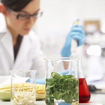 Curso “Controles Preventivos de Inocuidad Alimentaria para Alimentos de Humanos”